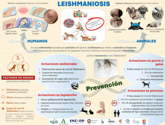 cartel_general_de_leishmaniosis cartel_general_de_leishmaniosis