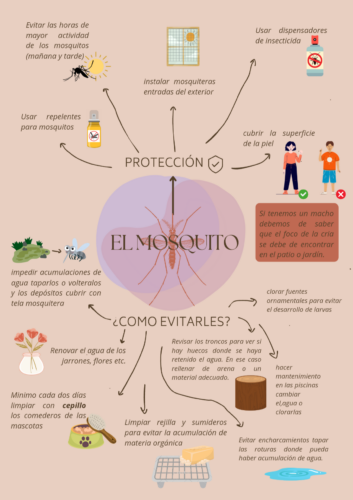 Información al ciudadano